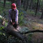 20112308130855-473.jpg